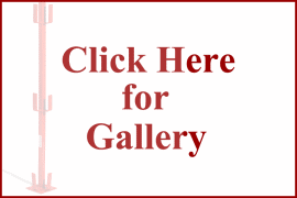 Click Here for Gallery - Hacketts Stairwell Posts